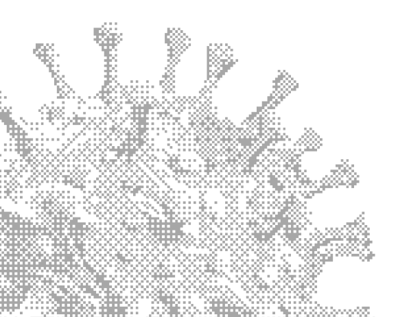 Post Quantum Layer One